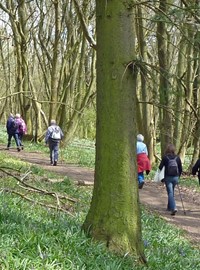 Walk Istead